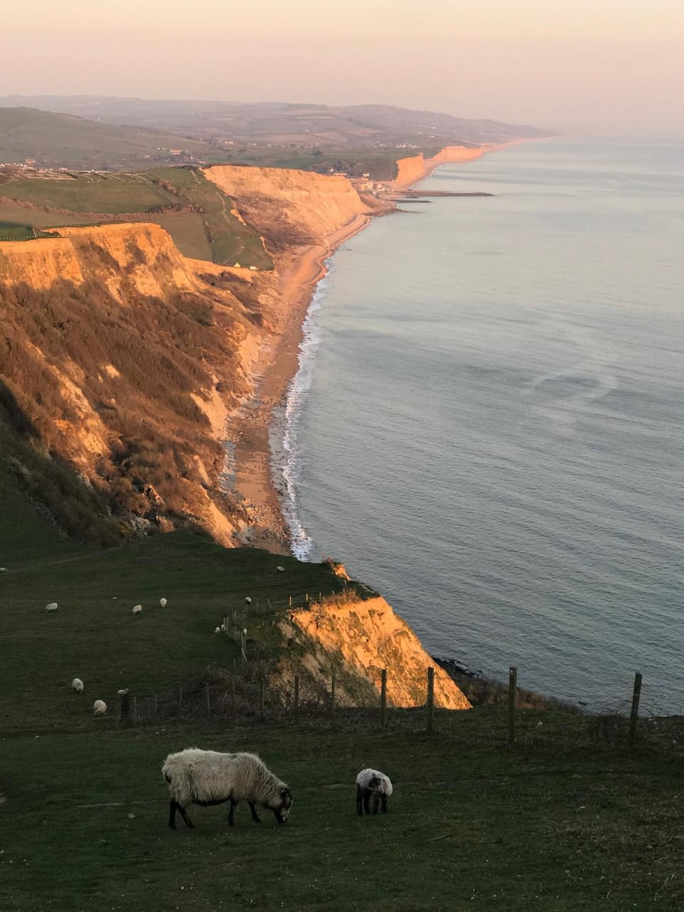 Heatherbell Cottage Guest Accommodation Bed and Breakfast in West Bay, UK