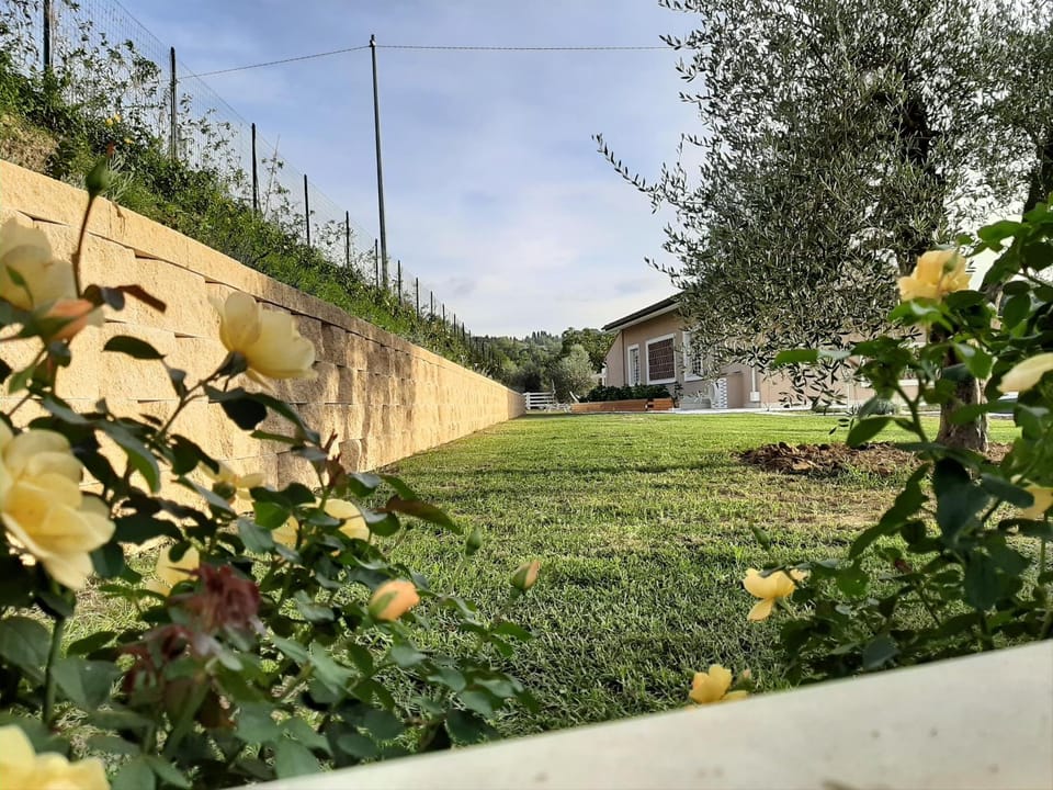 LE MAMMOLE Bed and Breakfast in Tuscany