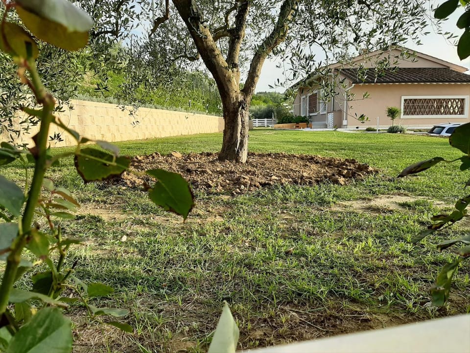 LE MAMMOLE Bed and Breakfast in Tuscany
