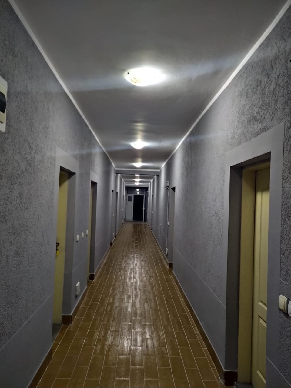 Apartments DEA Apartment in Montenegro