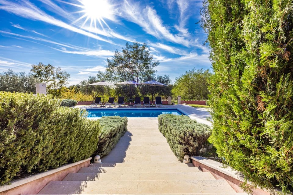 Patio, Garden, Garden view