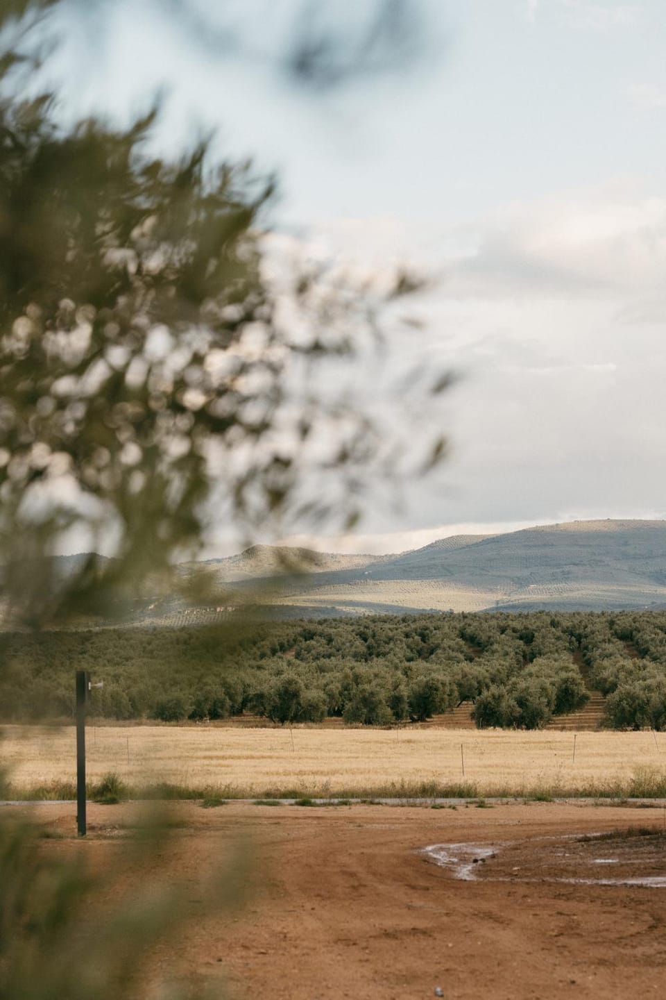 Day, Natural landscape