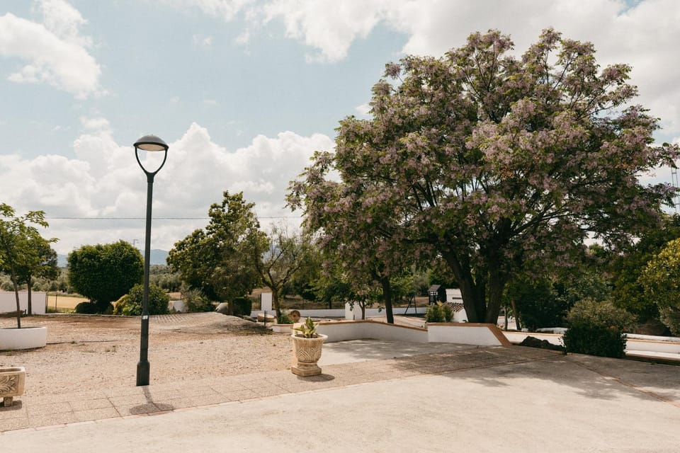 Spring, Natural landscape, Street view, Location