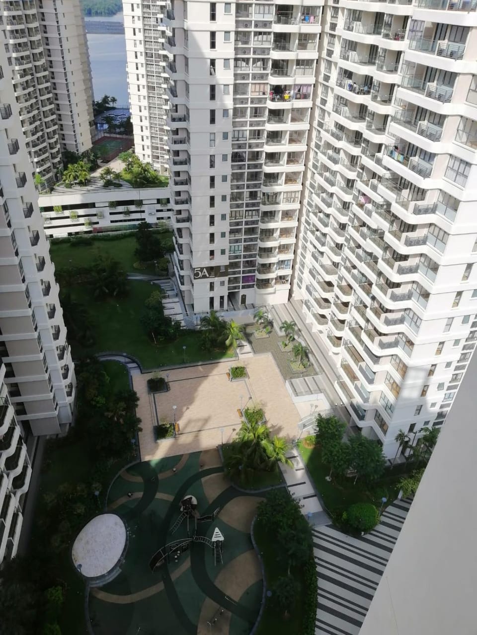 Garden view