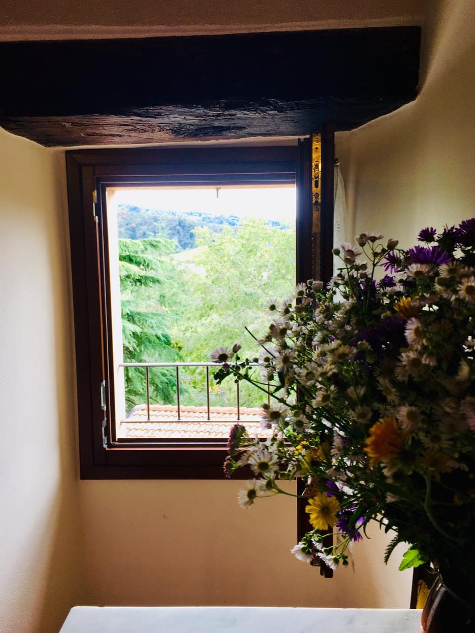 Antico Borgo dell'Anconella - grande appartamento rustico Apartment in Emilia-Romagna