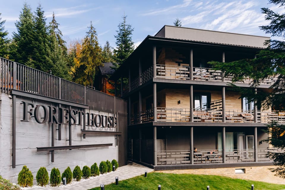 Forest House House in Romania