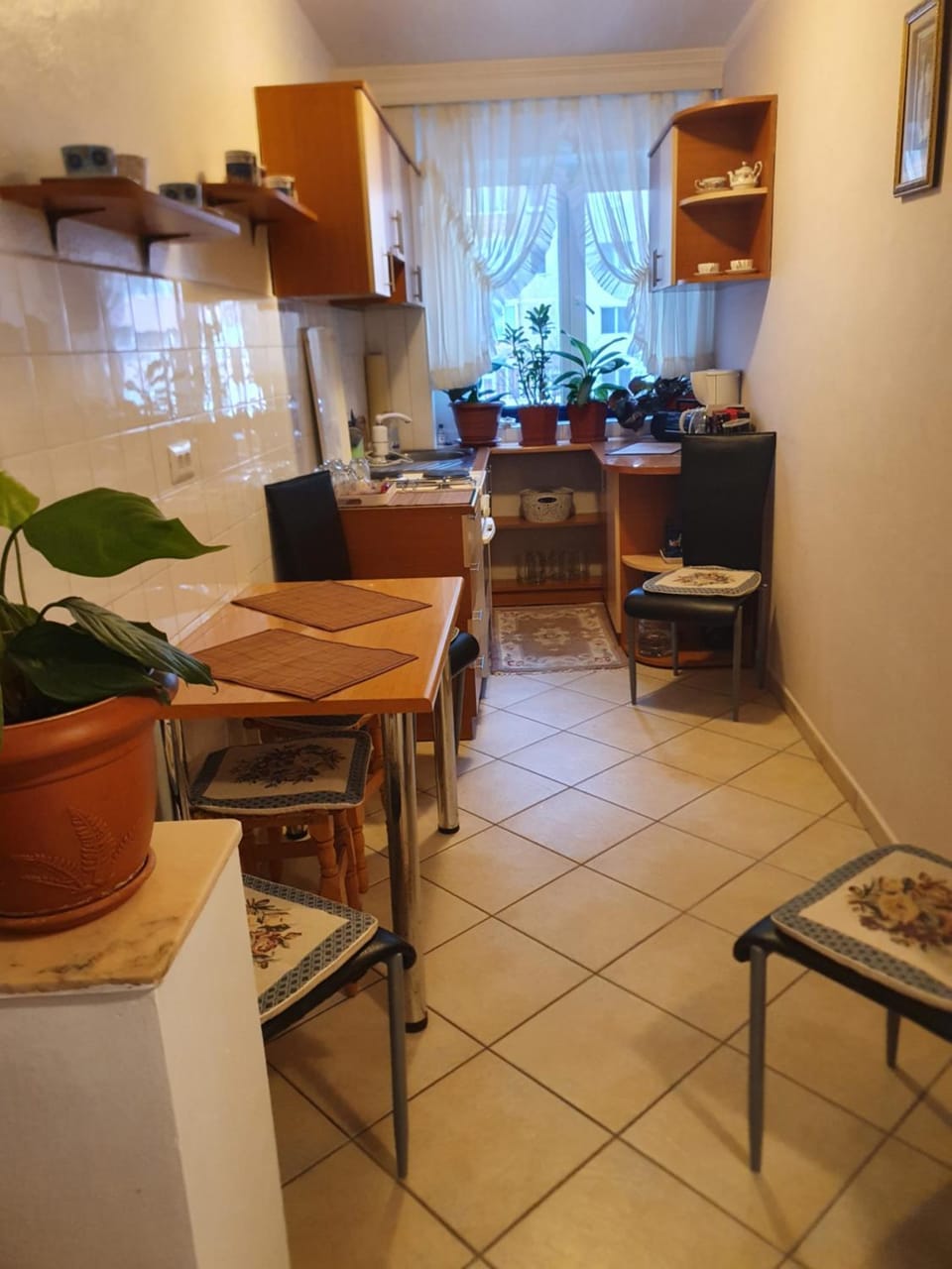 Apartament cu trei camere Apartment in Serbia