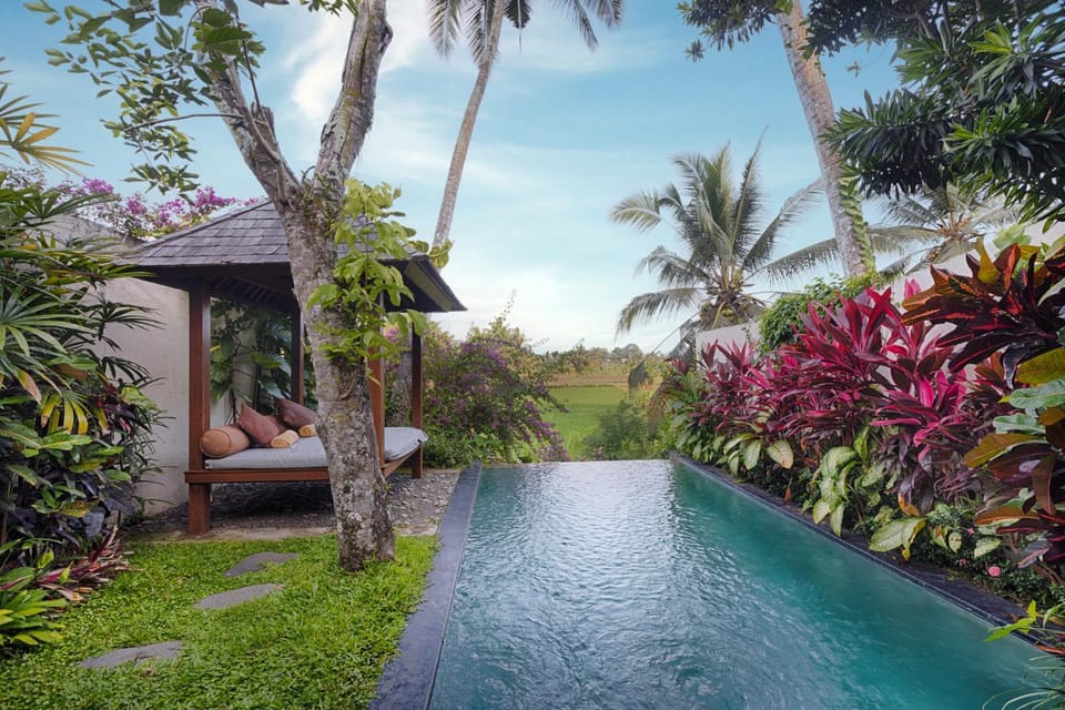 Day, Natural landscape, Garden view, Pool view, Swimming pool, sunbed
