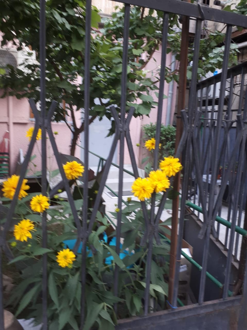 agmashenebeli95 Apartment hotel in Tbilisi, Georgia
