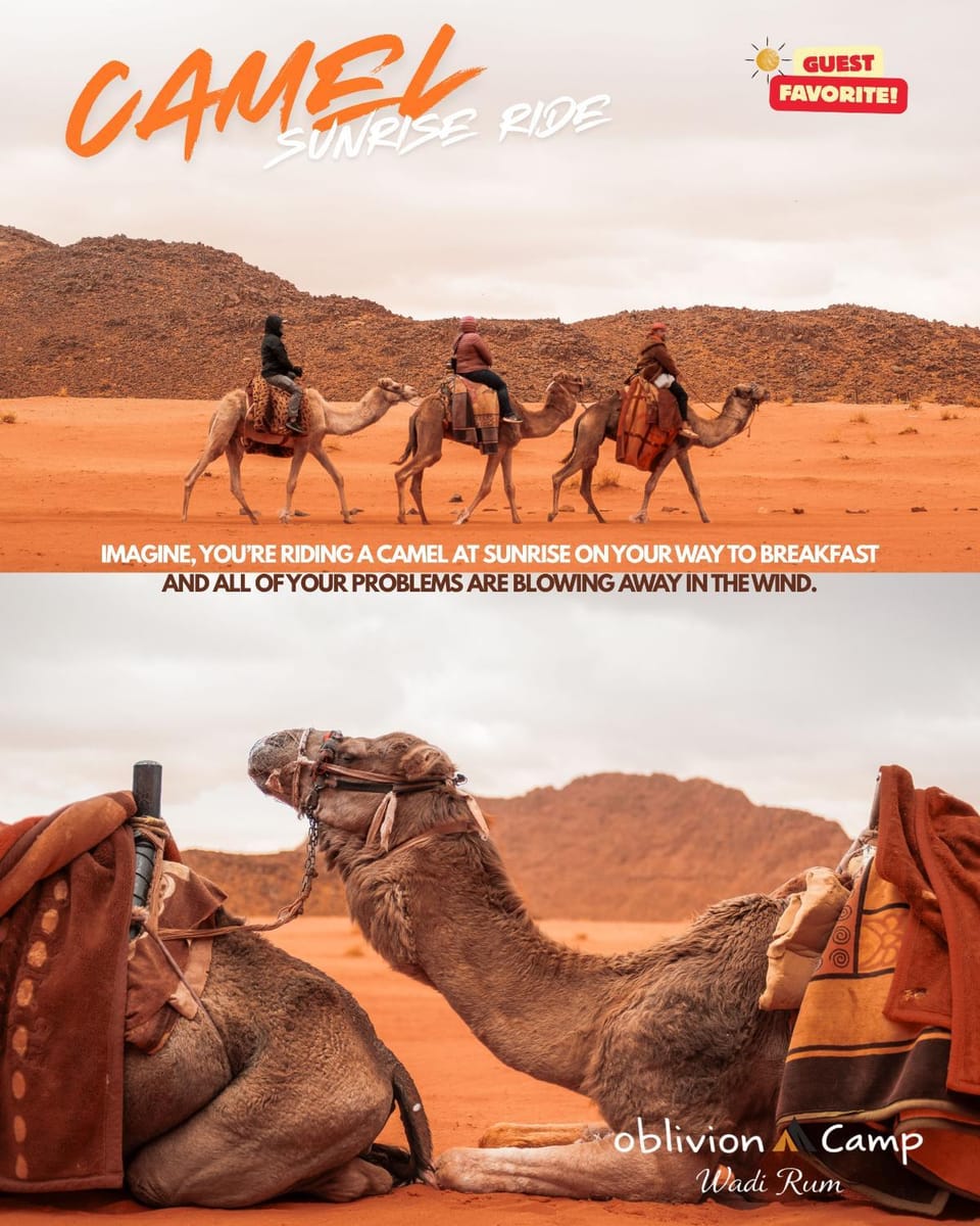 Oblivion Camp Wadi Rum Campground/ 
RV Resort in South District
