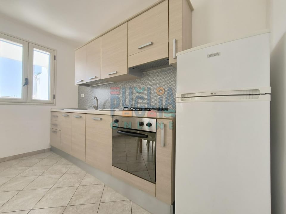 Kitchen or kitchenette, minibar, oven, pet friendly, stove, kitchen
