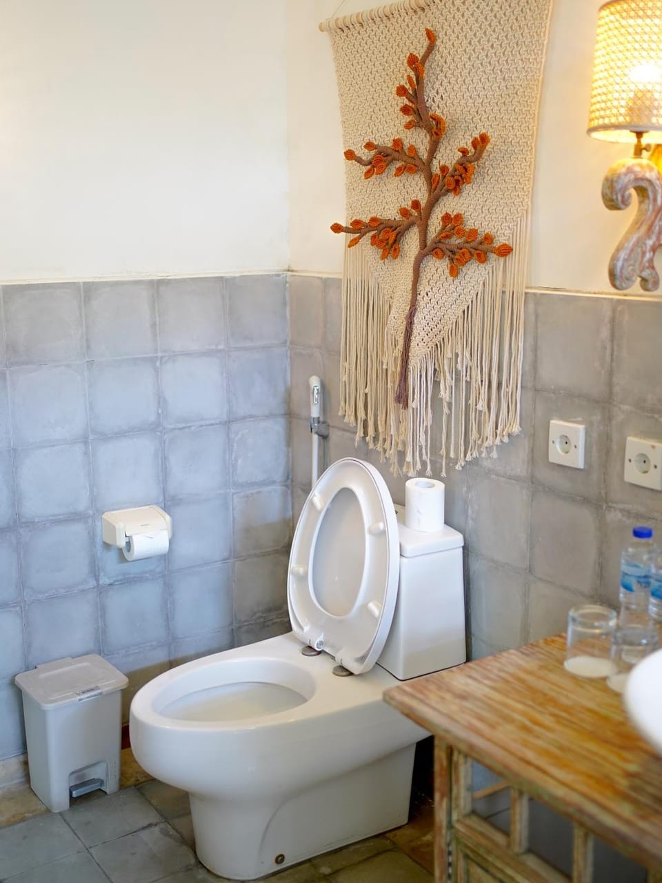 Toilet, Toilet