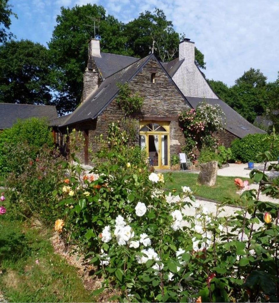 Facade/entrance, Garden