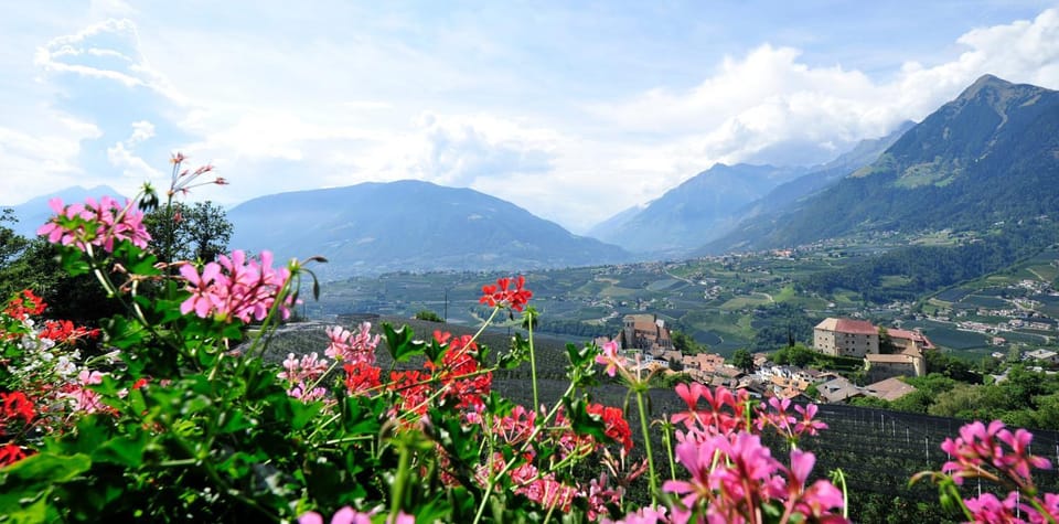 Pension Laurin Bed and Breakfast in Trentino-South Tyrol