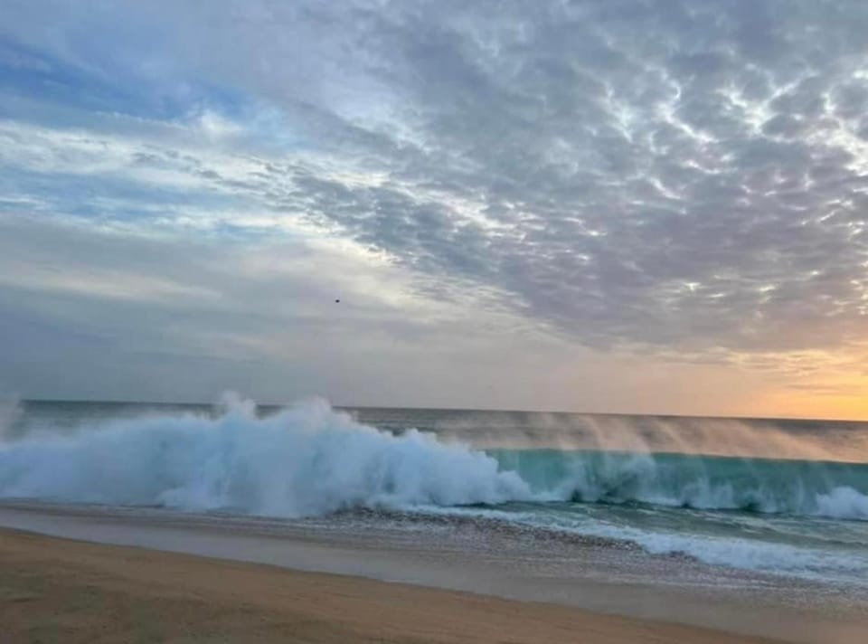 Palmar pescadero Bed and Breakfast in Baja California Sur