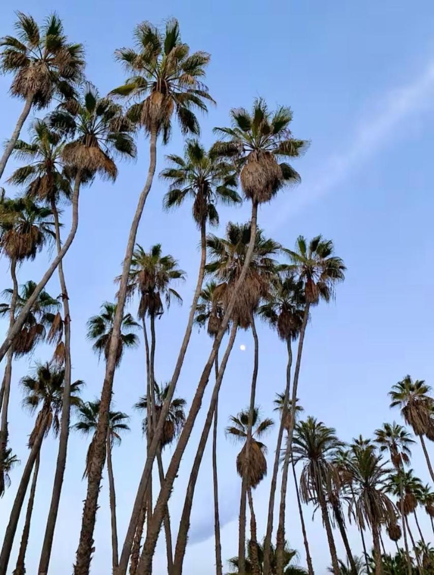 Palmar pescadero Bed and Breakfast in Baja California Sur