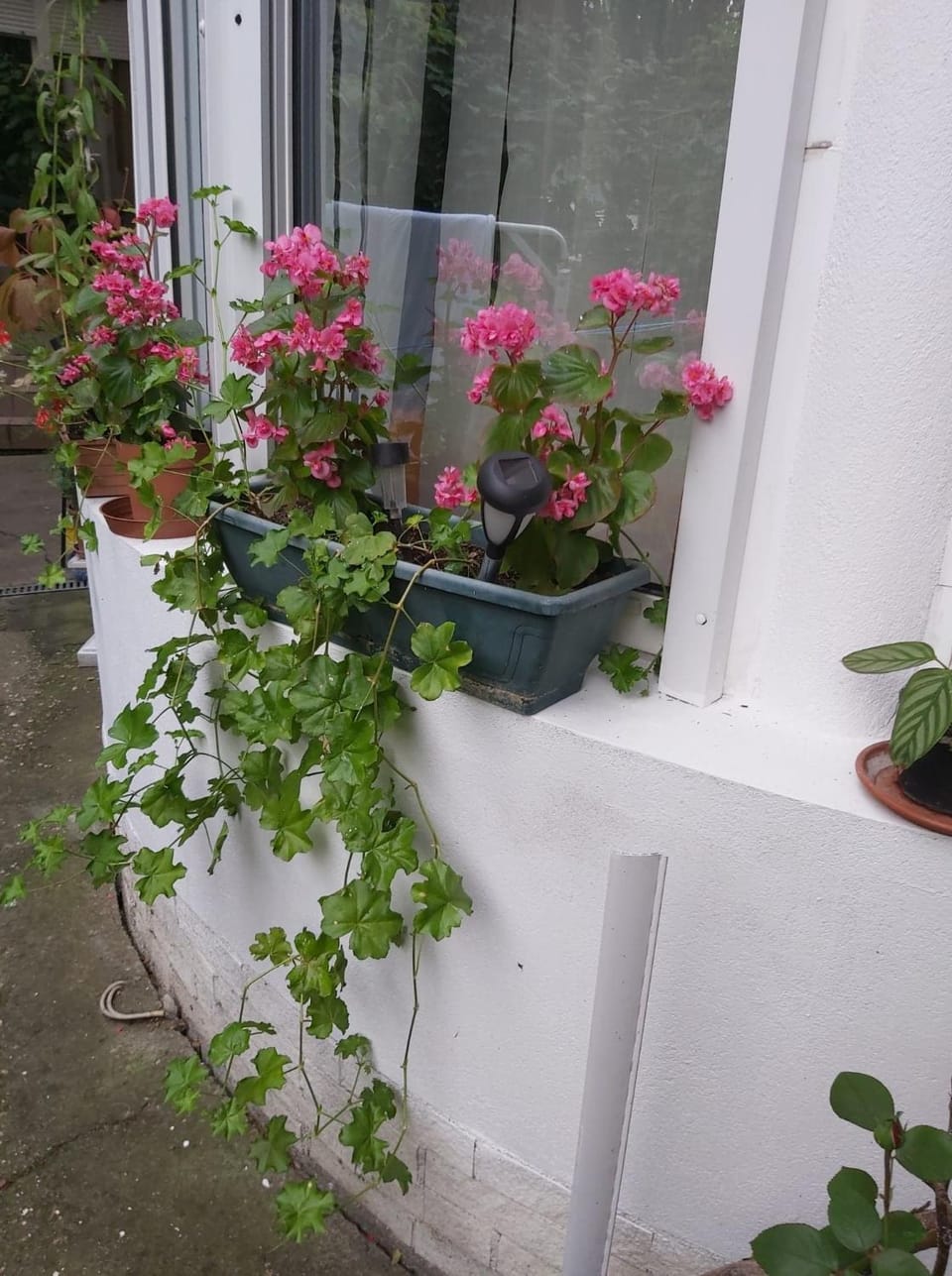 Fehér Hintó Bed and Breakfast in Hungary