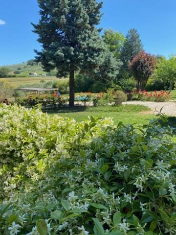 Villa Rina Bed and Breakfast in Marche