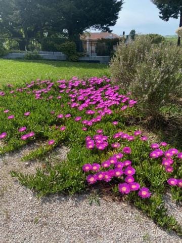 Villa Rina Bed and Breakfast in Marche