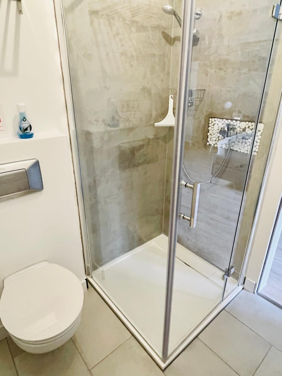 Shower, Toilet