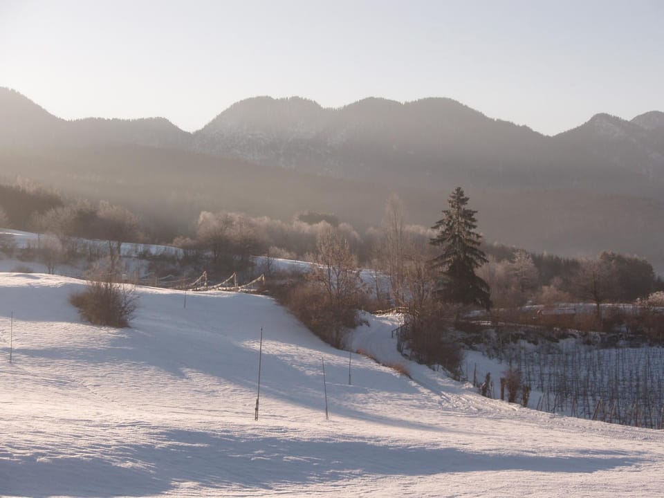 Winter, Horse-riding, Ski School, Skiing, View (from property/room), Hiking, On site, Mountain view