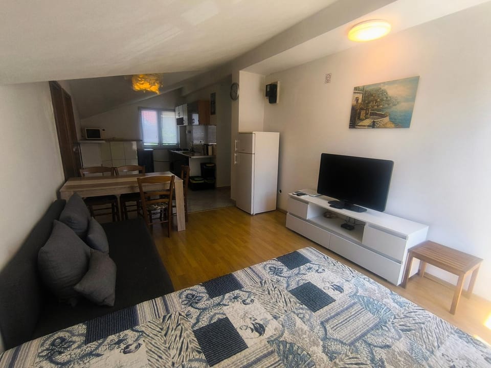 Appartaments Lion Apartment in Rijeka