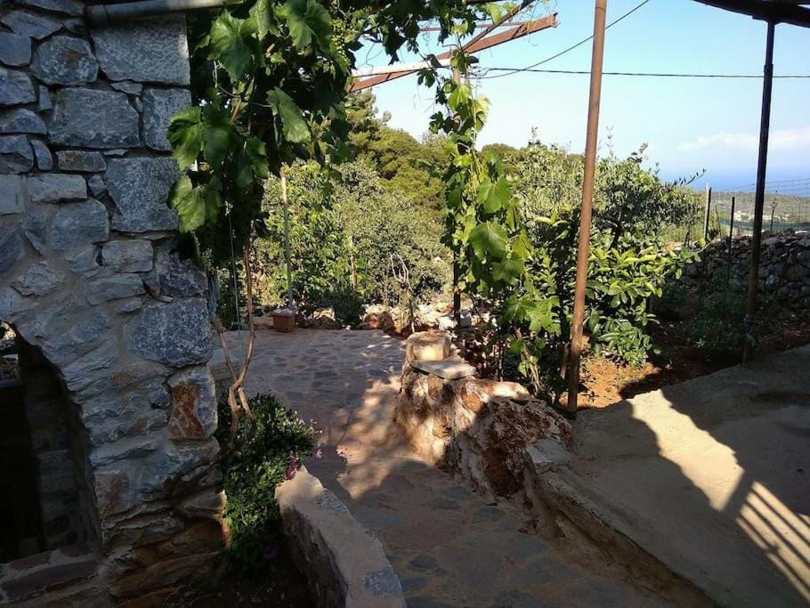 Find your peace in a traditional country house!! Apartment in Peloponnese Region