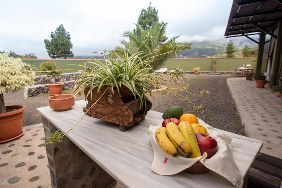 Apartamento Kiril Apartment in La Palma