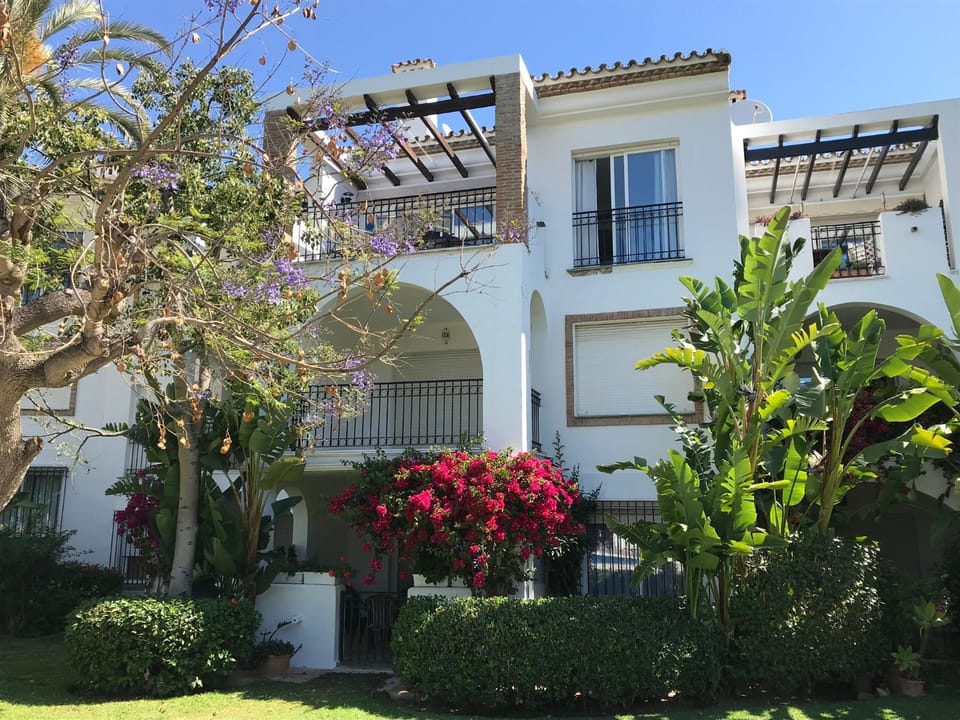 Property building, Facade/entrance, Garden