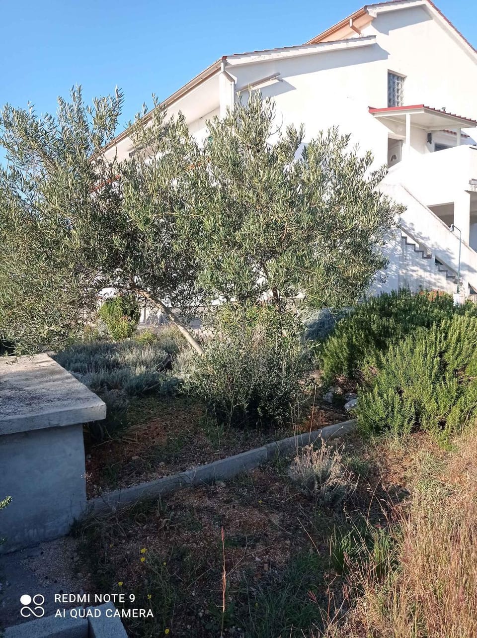 Property building, Summer