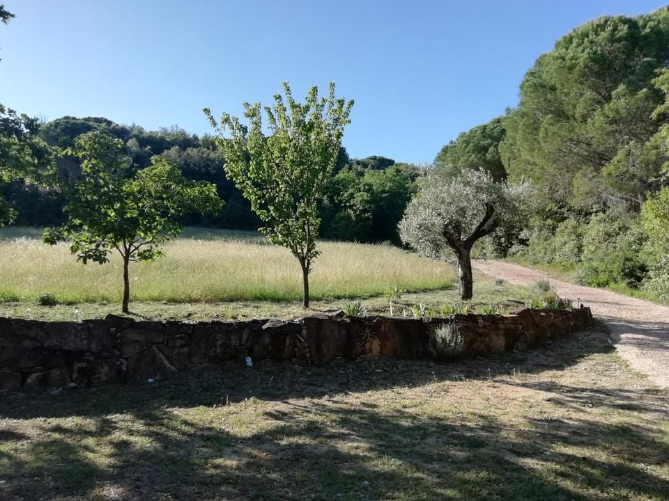 Casa Jacaranda House in Tuscany