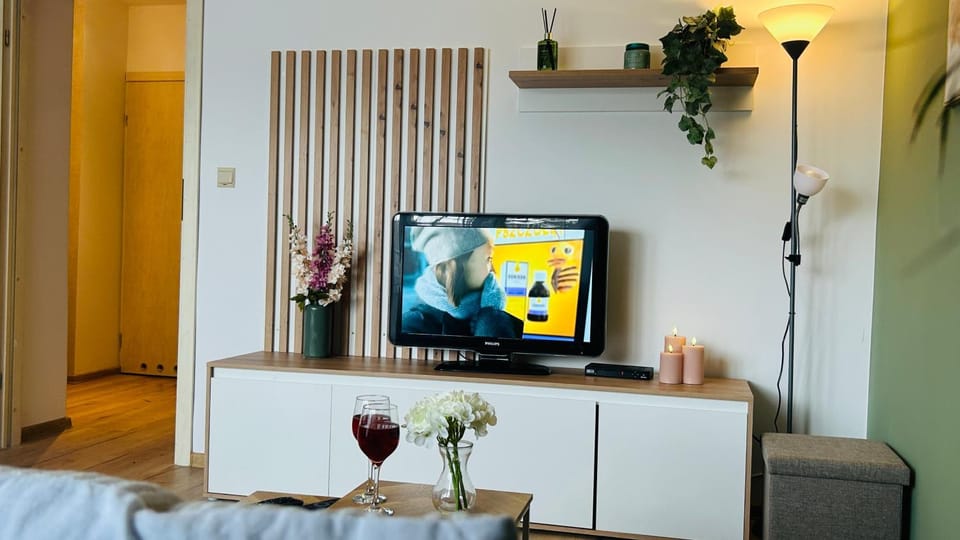 TV and multimedia