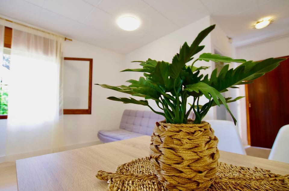 V&V LLORET- Apartamento Europa Apartment in Selva