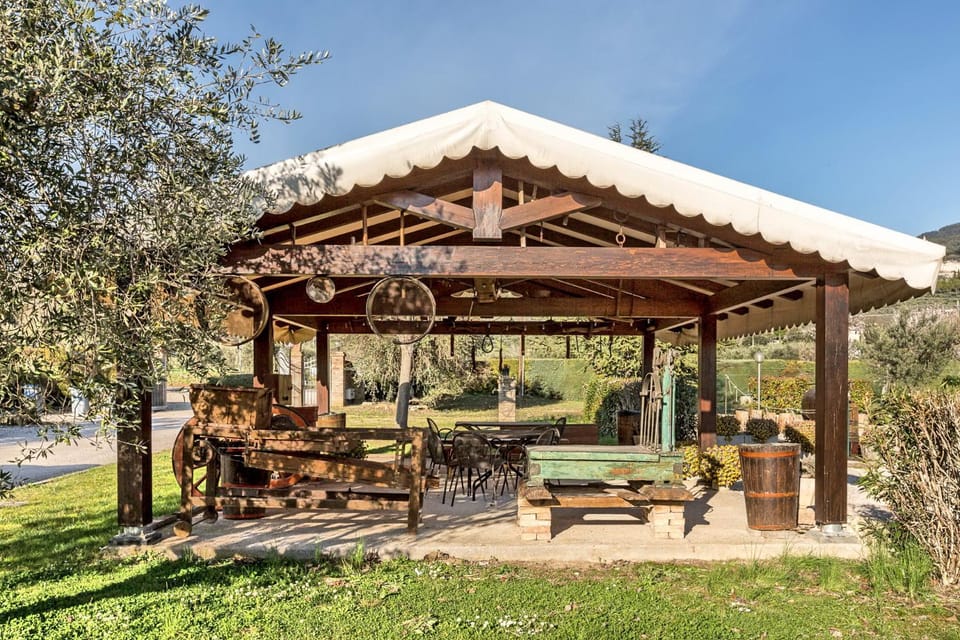 Patio, Garden, Area and facilities