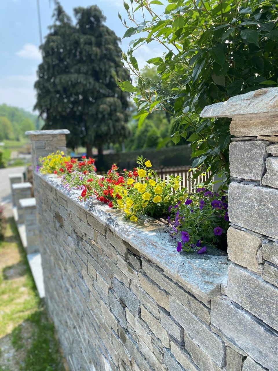 Property building, Facade/entrance, Garden, Balcony/Terrace, Hiking, Area and facilities