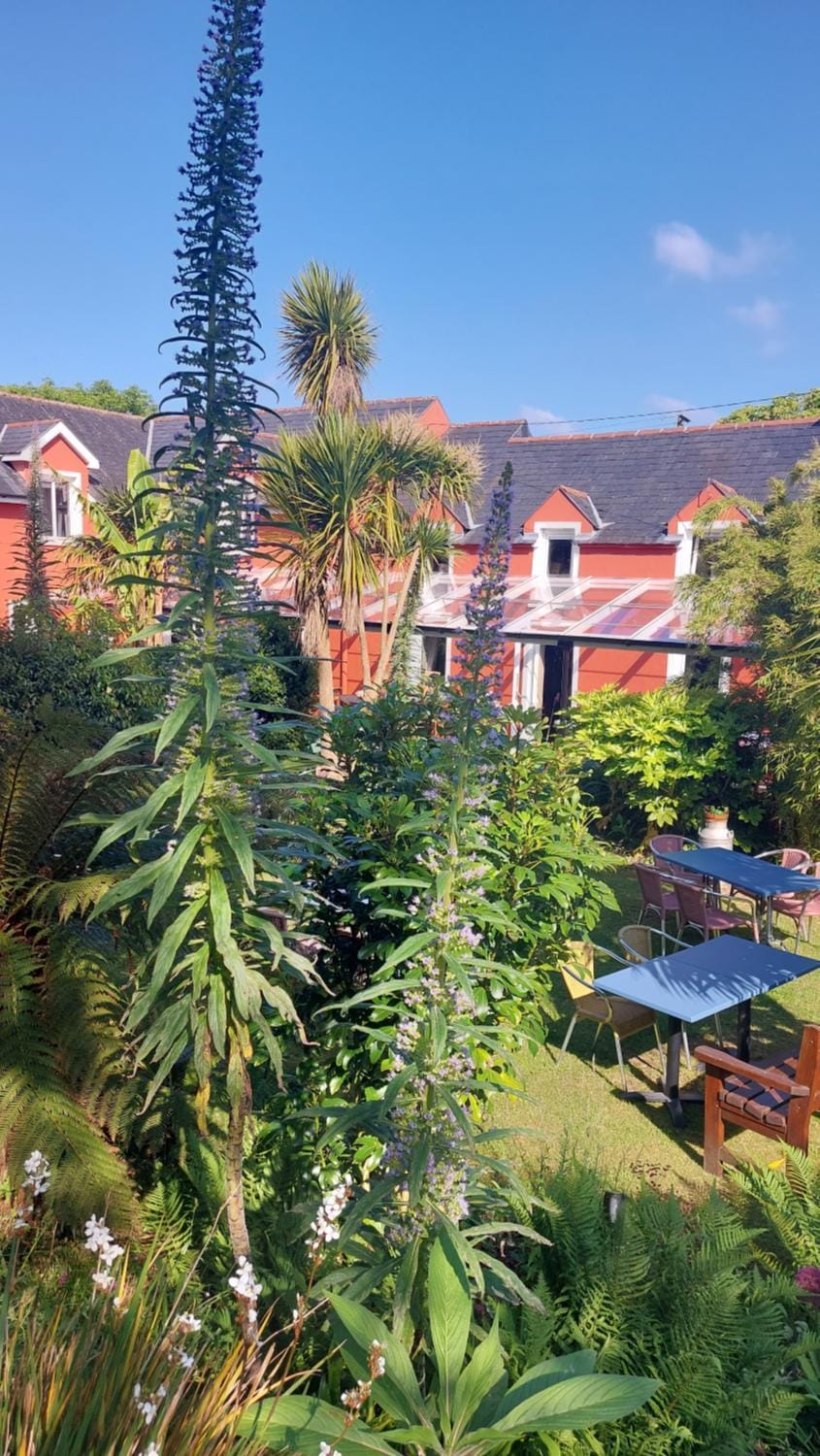 Property building, Garden, Garden view