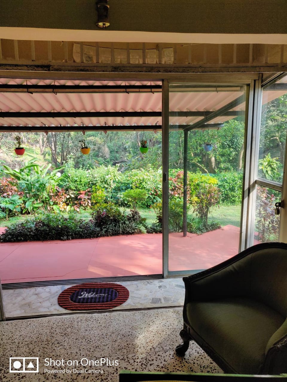 Garden view