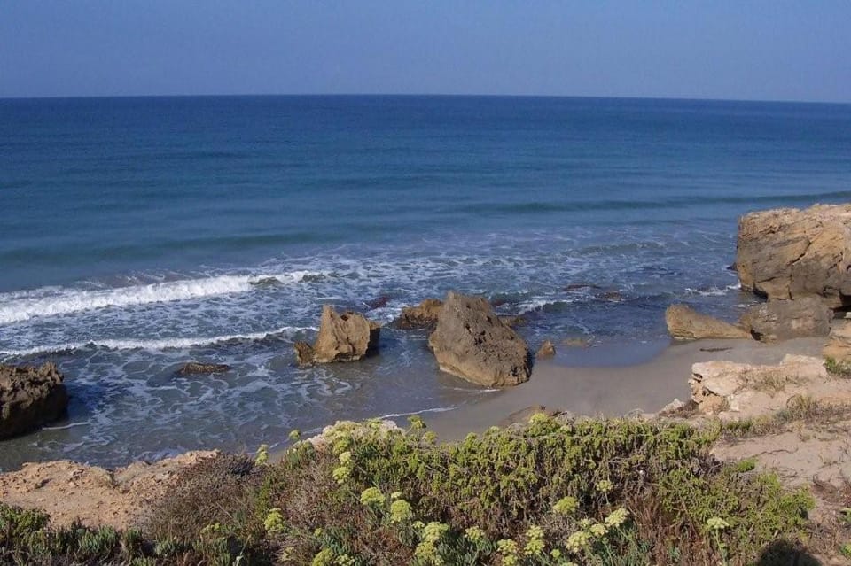 Monolocale a 200 metri dal mare House in Sardinia