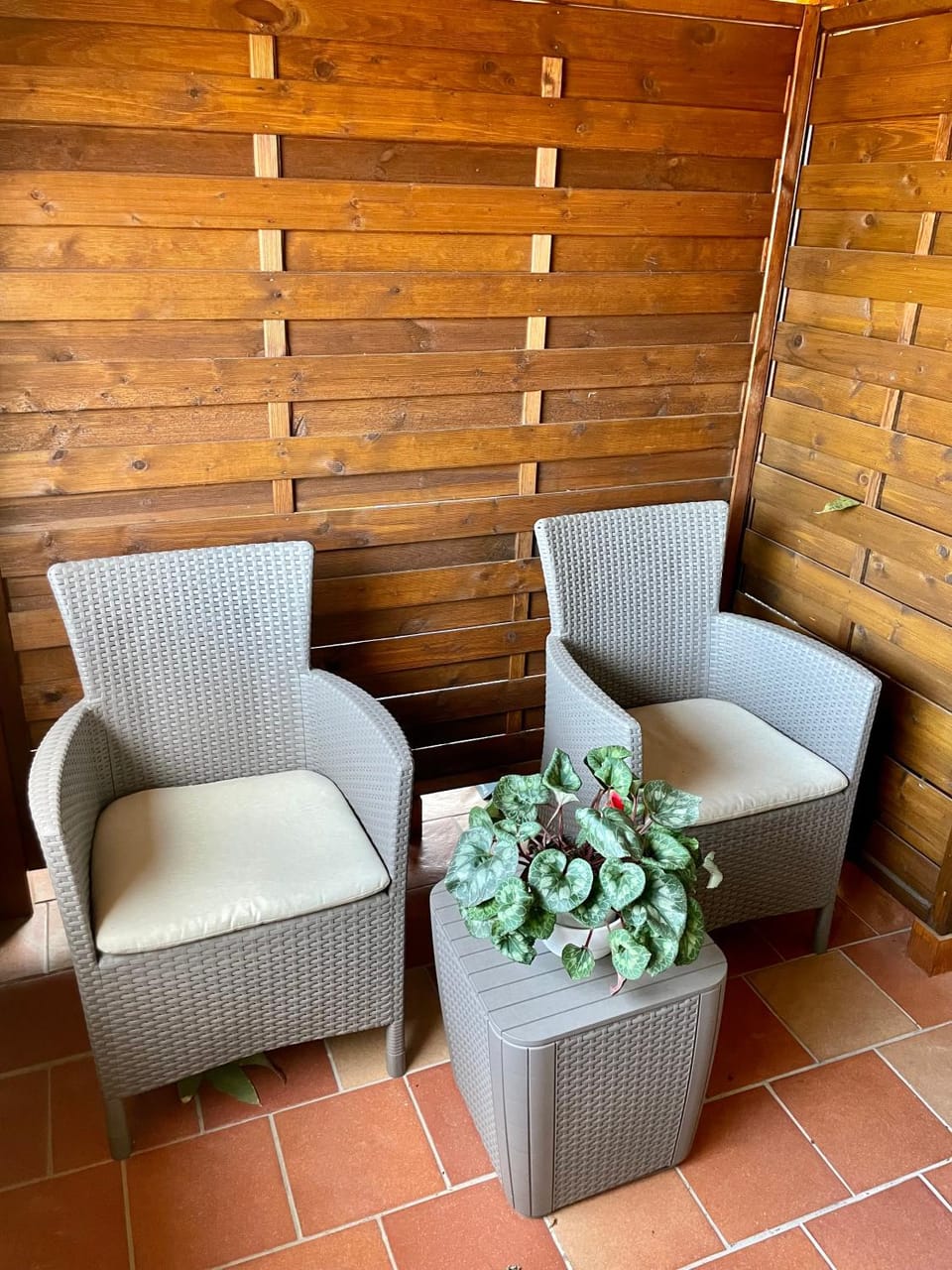 Al Fico Secco Bistrot & Braceria - Room & Breakfast Bed and Breakfast in Campania