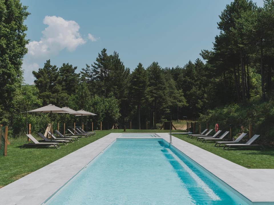 Natural landscape, Garden, Pool view, sunbed