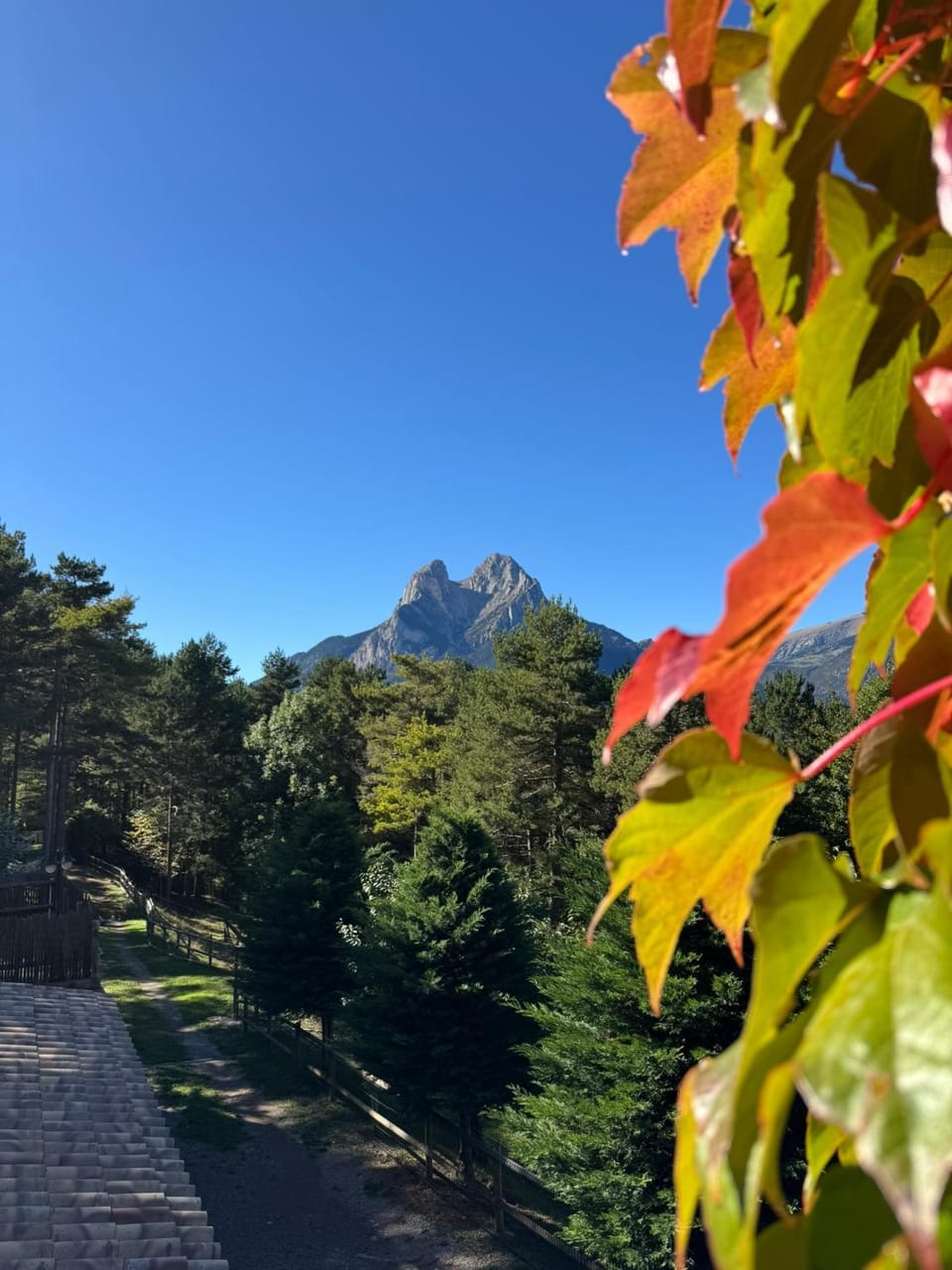 View (from property/room)