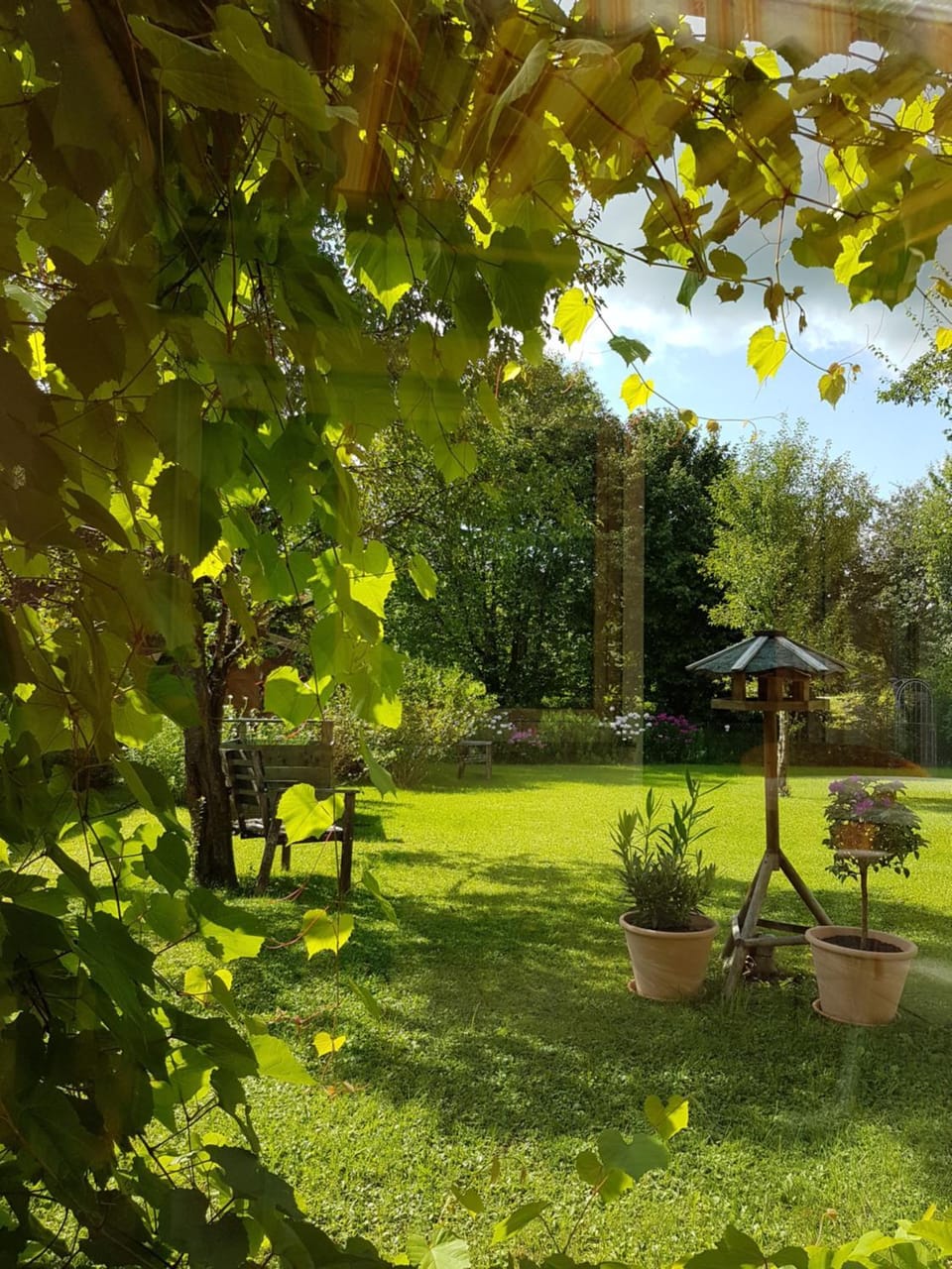Natural landscape, Activities, Balcony/Terrace