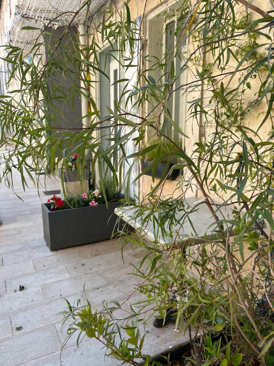 Studio Spacieux Cœur Historique Apartment in Saint-Remy-de-Provence