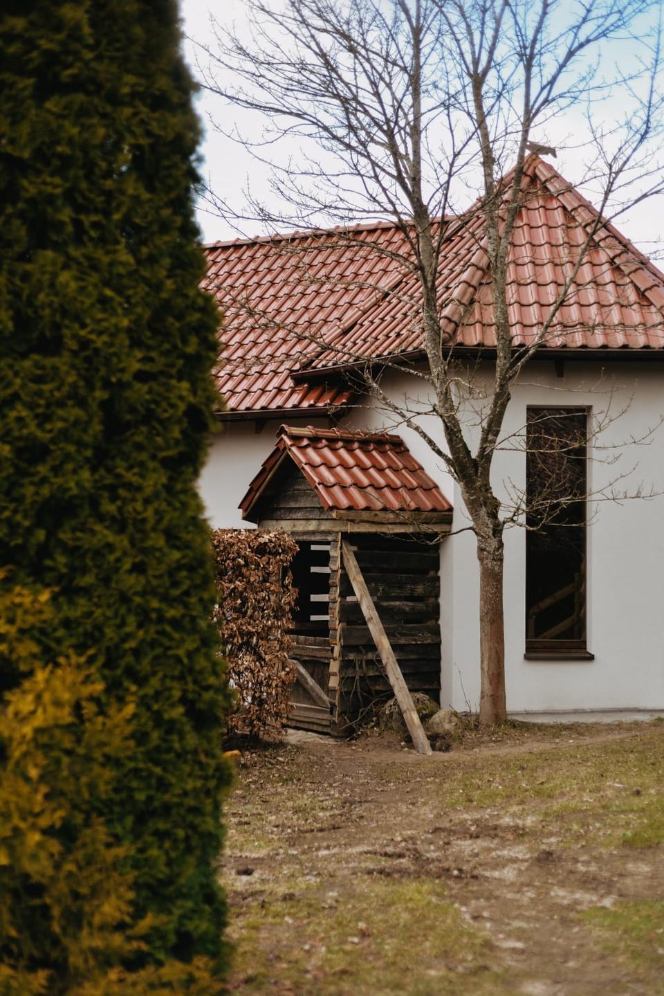 Property building