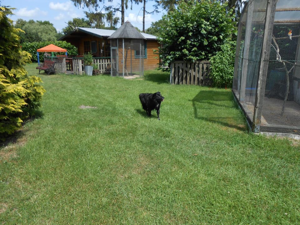 Children play ground, Garden