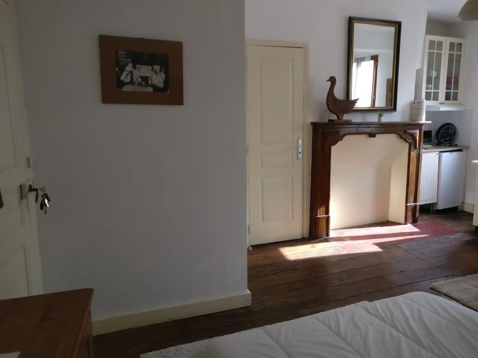 Studio Les Armuriers, 2e ét sans asc Apartment in Occitanie
