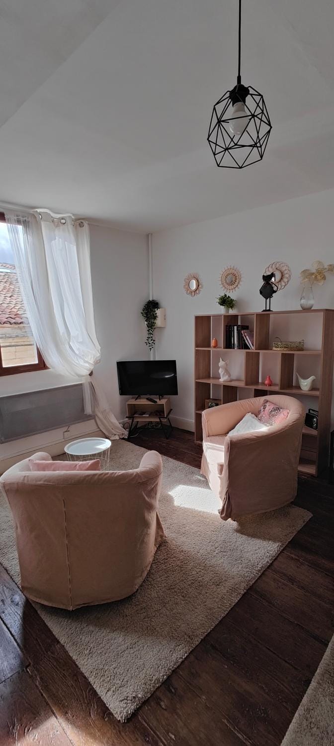 Studio Les Armuriers, 2e ét sans asc Apartment in Occitanie
