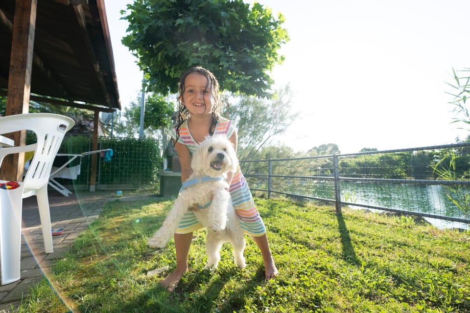People, Natural landscape, Garden, Pets, Guests, Lake view, children