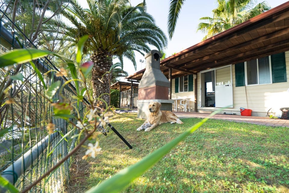 Garden, Animals, Animals, Animals, Pets, Pets, Pets, Garden view, pet friendly