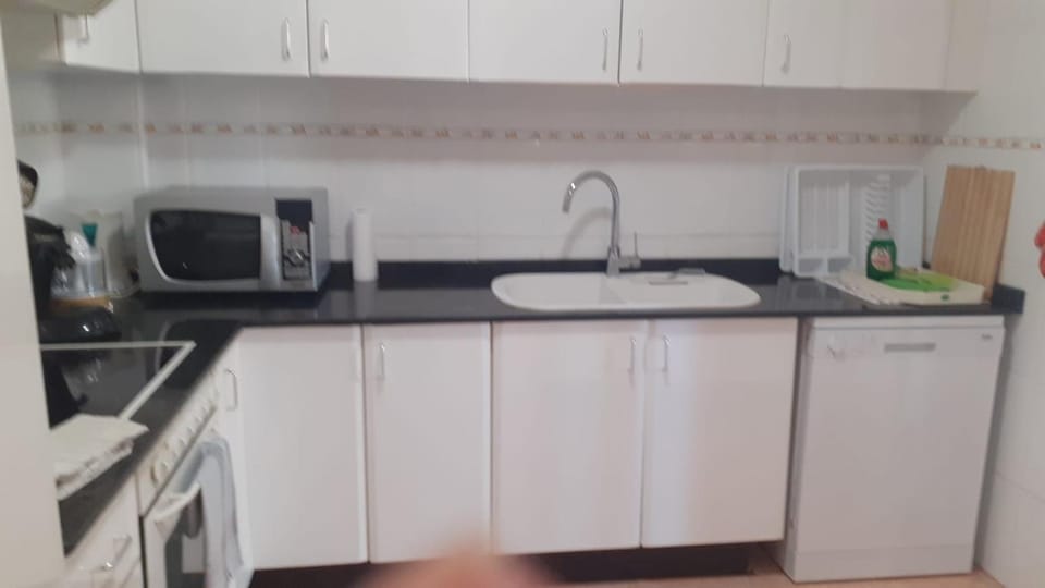 Kitchen or kitchenette, dishwasher